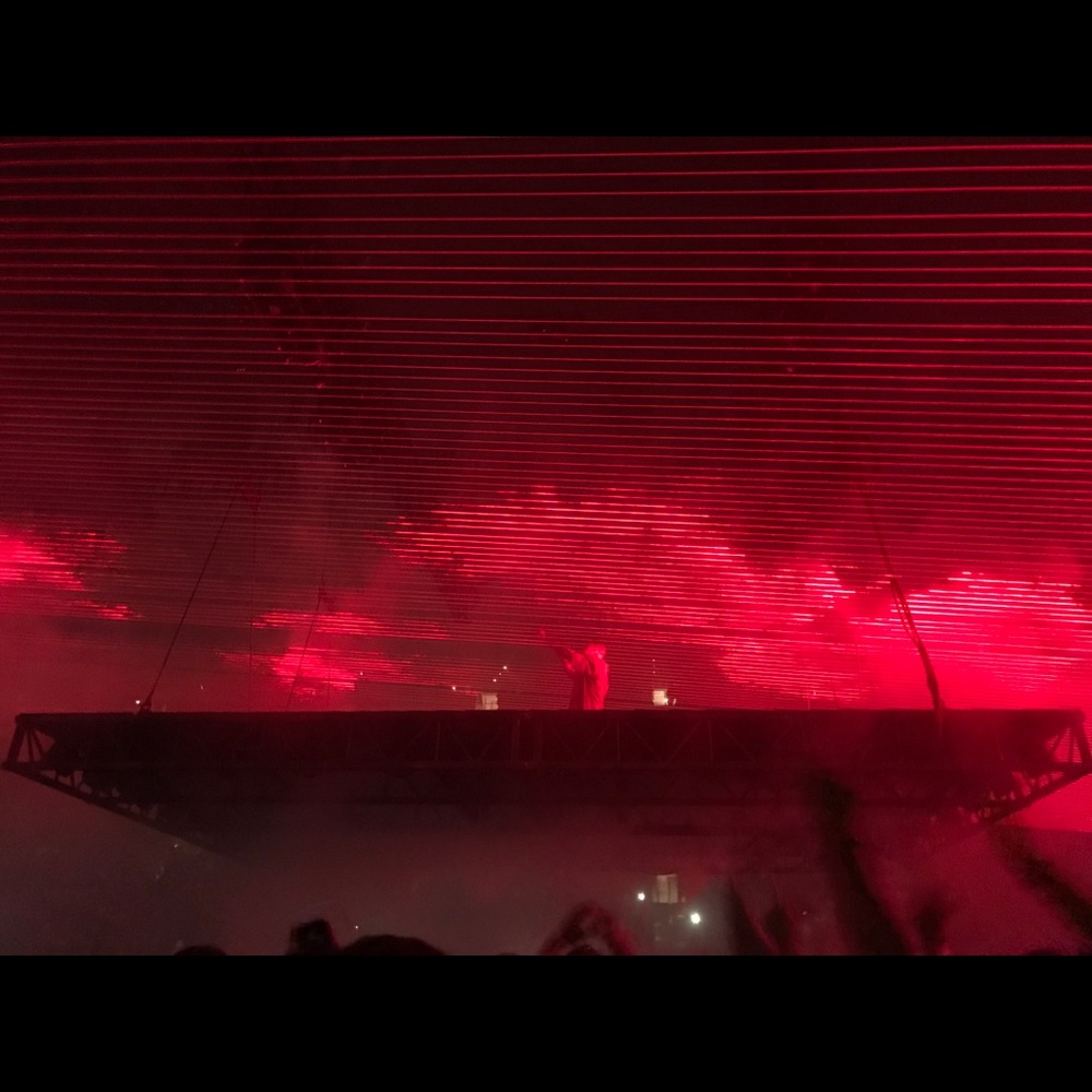 Meet your Posher, Evelyn